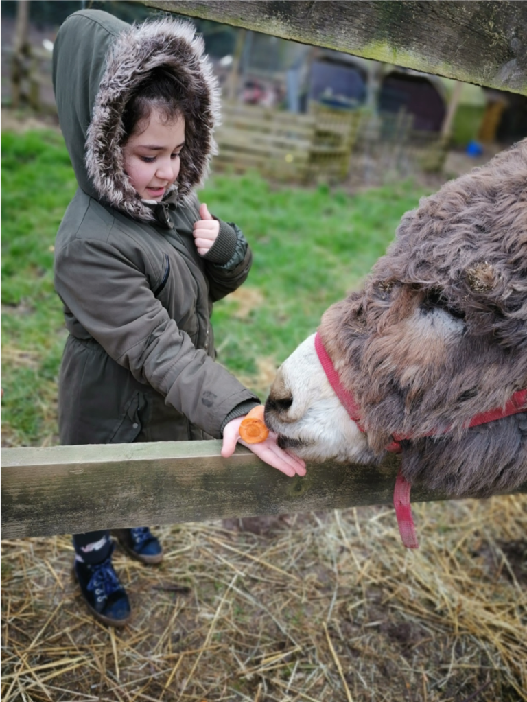 Lire la suite à propos de l’article Up School à la ferme