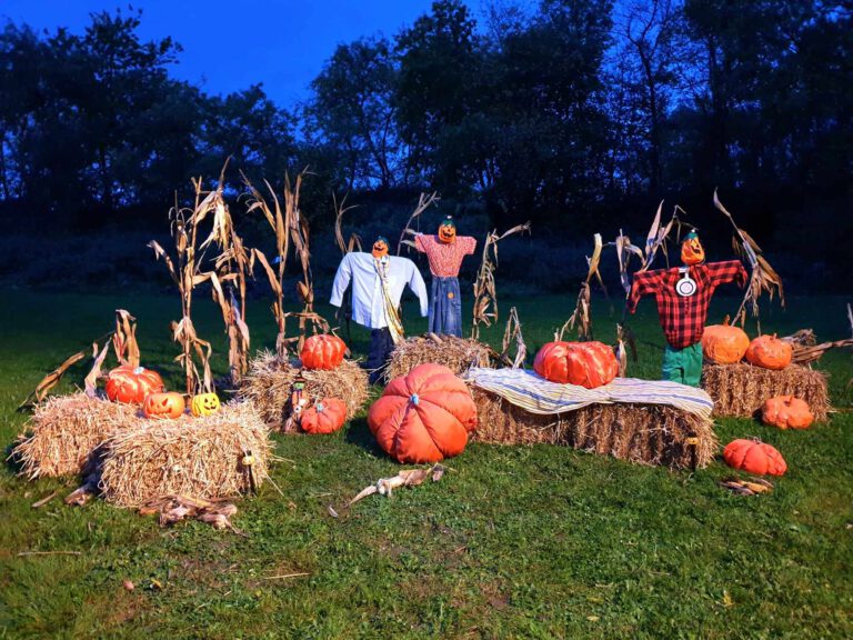 Lire la suite à propos de l’article Halloween à l’AJMO